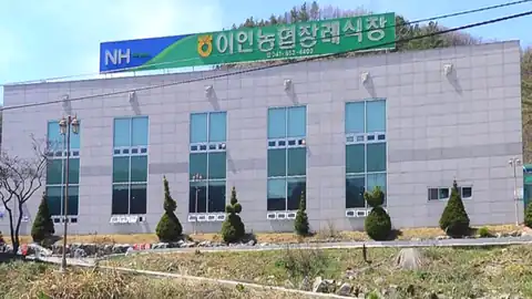 이인농협장례식장 사진